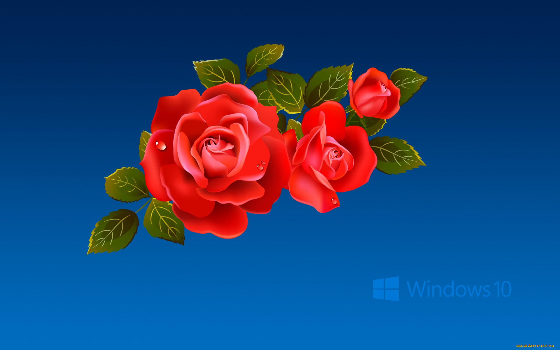 , windows  10, , 
